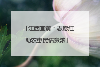 江西宜黄：志愿红助农惠民情意浓
